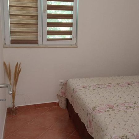 Apartmani Nikola ビオグラード・ナ・モル エクステリア 写真
