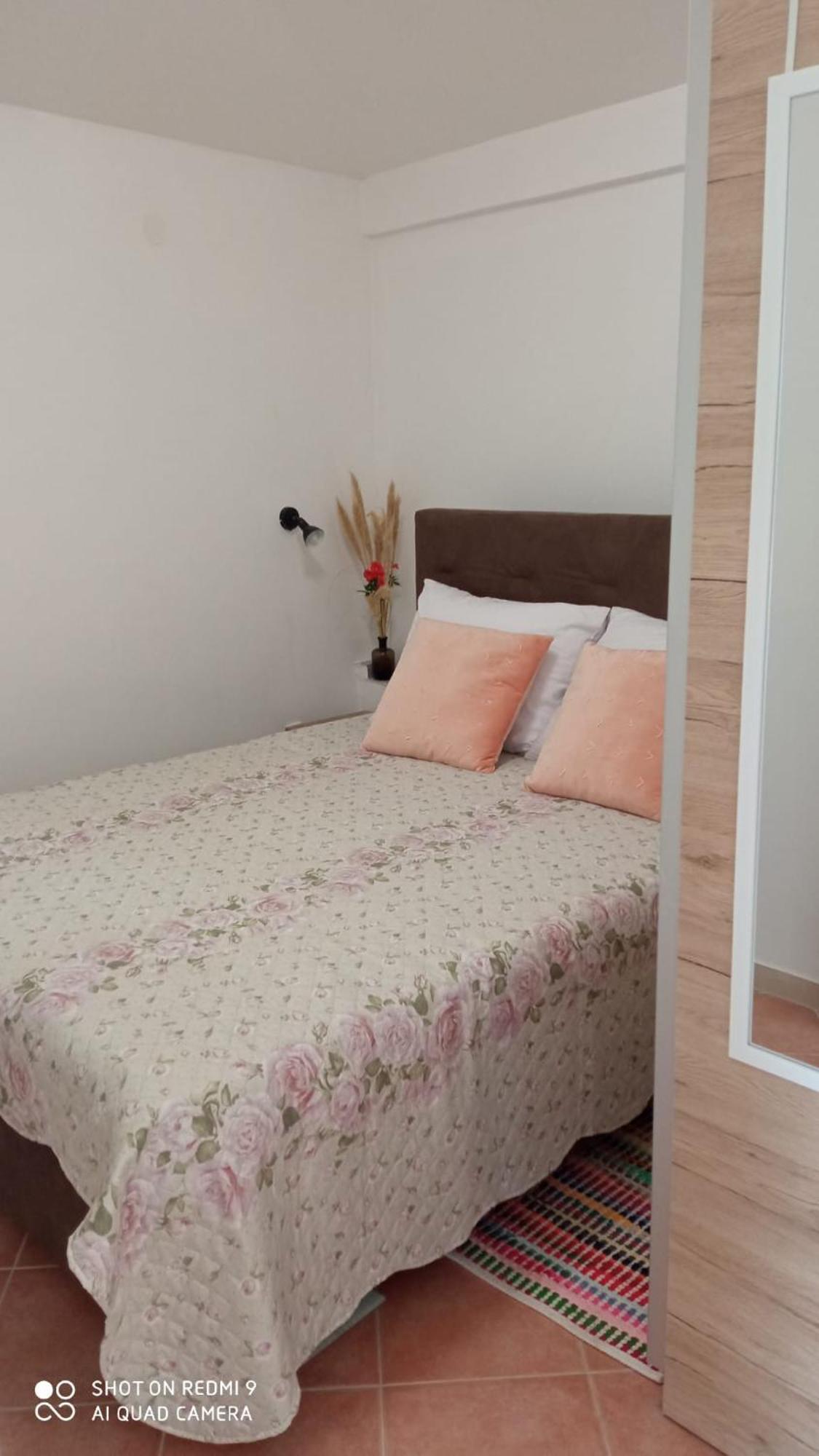 Apartmani Nikola ビオグラード・ナ・モル エクステリア 写真
