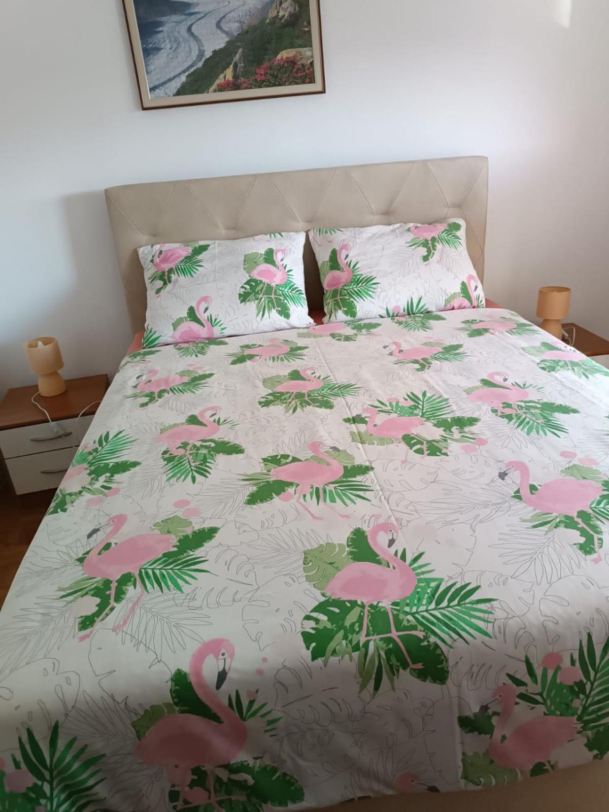 Apartmani Nikola ビオグラード・ナ・モル エクステリア 写真